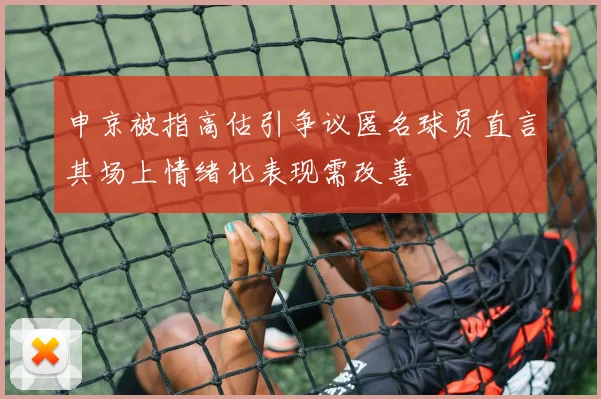 申京被指高估引争议匿名球员直言其场上情绪化表现需改善